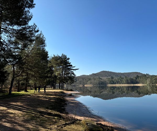 camping Hanau Plage, à Philippsbourg