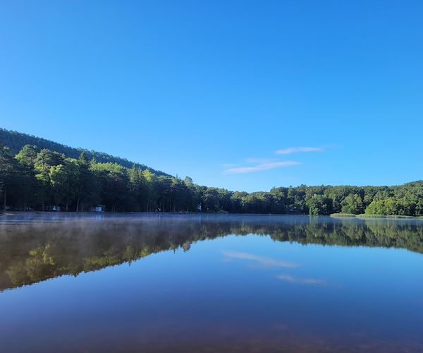 camping Hanau Plage, à Philippsbourg