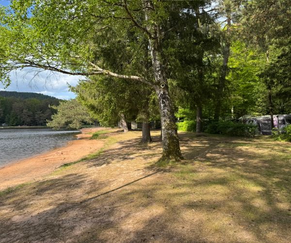Camping Hanau Plage, emplacement bord d'étang dans les Vosges du Nord